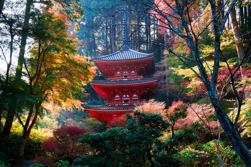 岩船寺の画像 - 6枚目