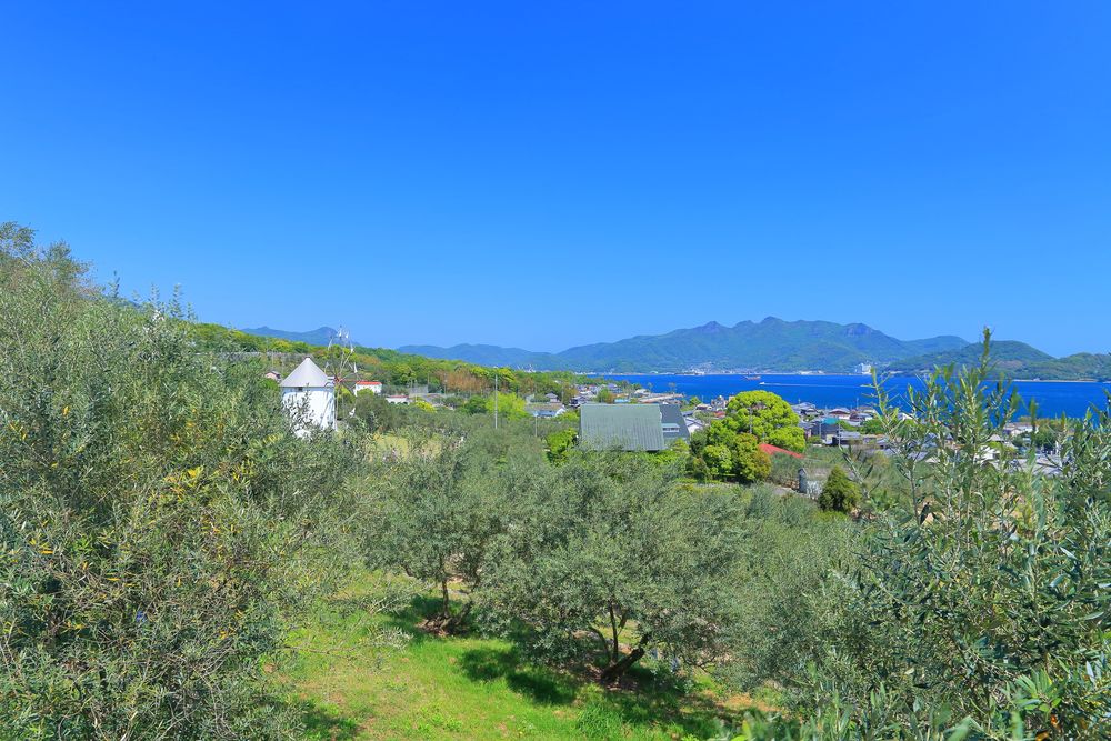 小豆島オリーブ公園の画像 - 3枚目
