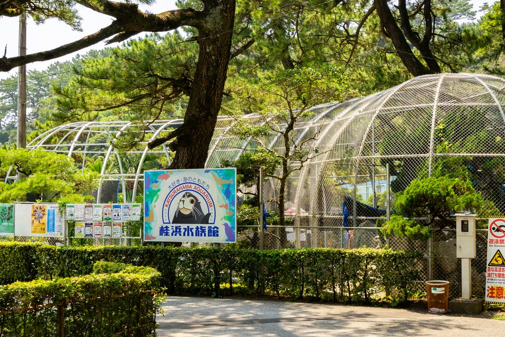 桂浜水族館の画像 - 2枚目