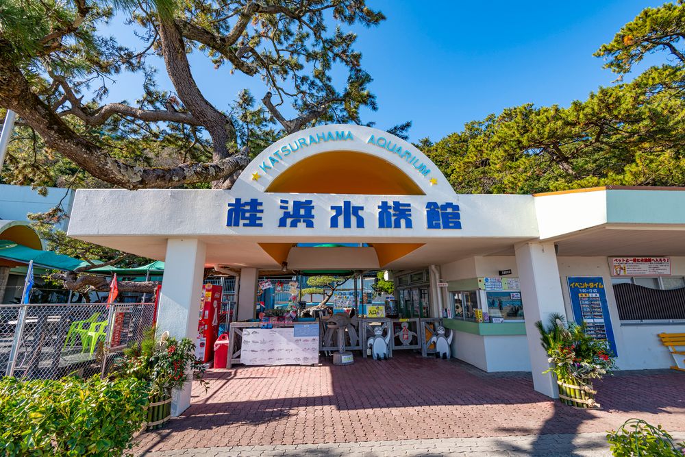 桂浜水族館の画像 - 3枚目