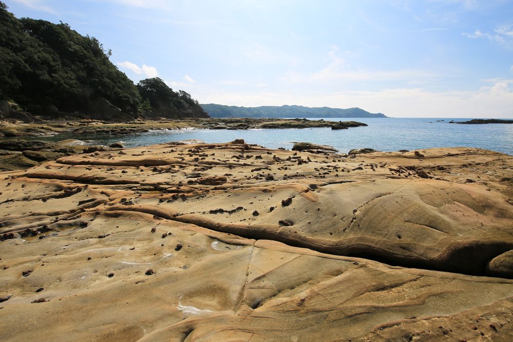竜串海域公園の画像 - 6枚目
