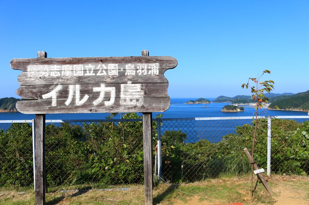 イルカ島の画像 - 4枚目