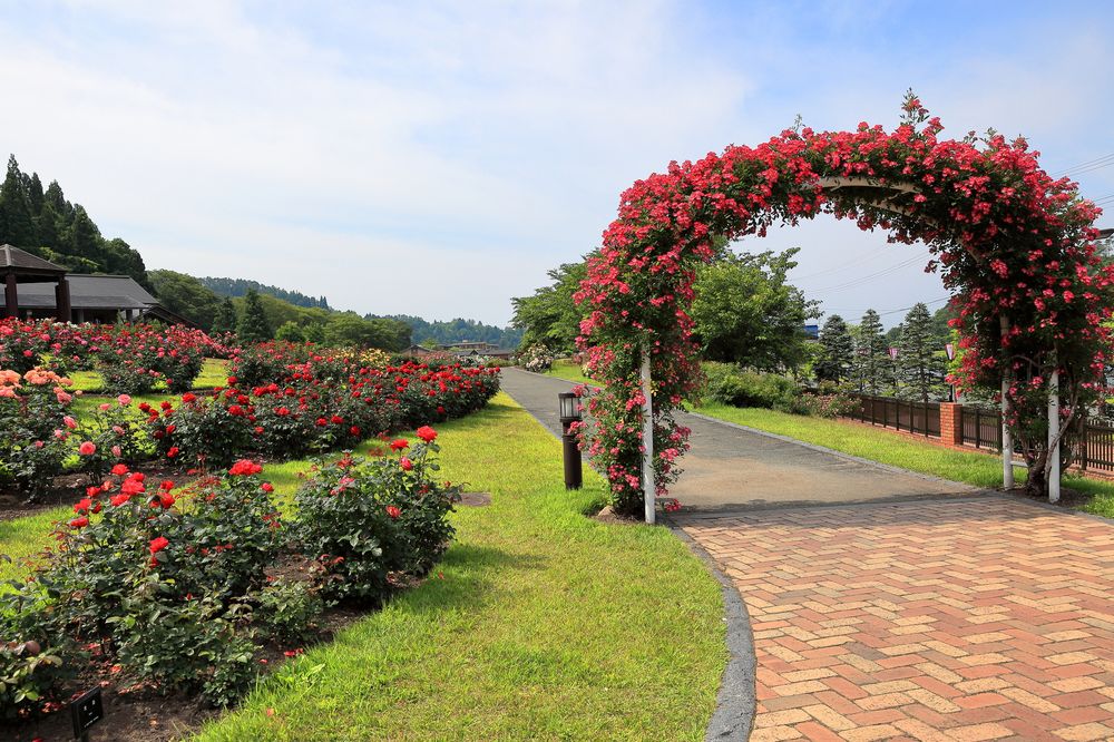 東沢バラ公園の画像 - 6枚目