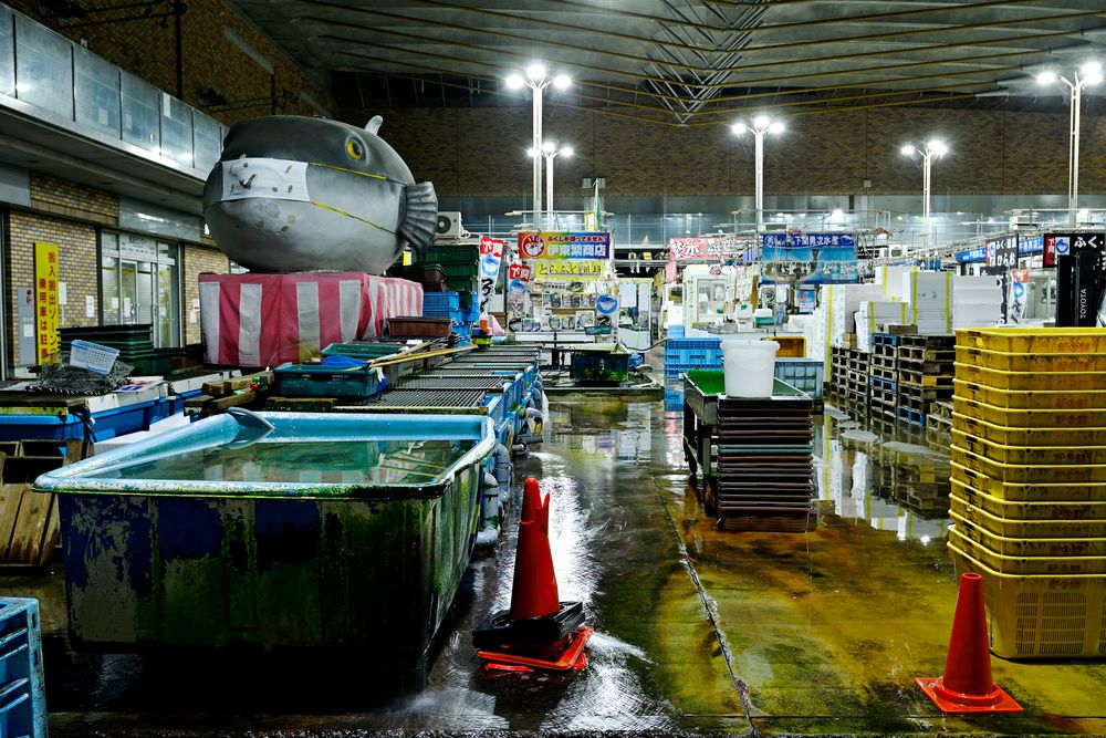 唐戸市場 （下関地方卸売市場）の画像 - 5枚目