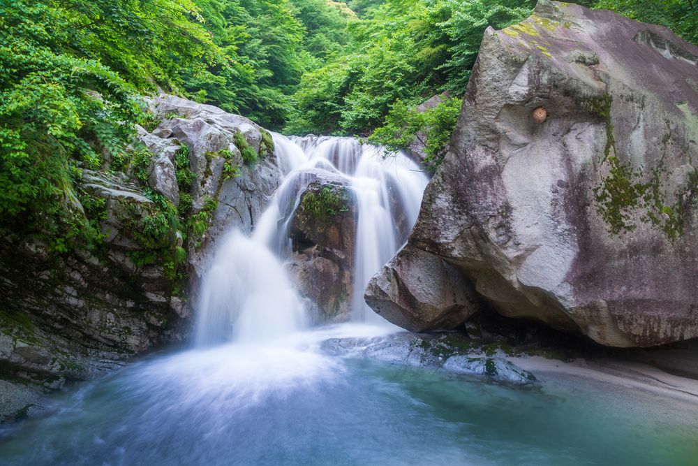 尾白川渓谷の画像 - 3枚目