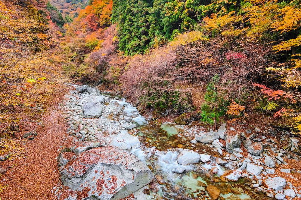 尾白川渓谷の画像 - 4枚目