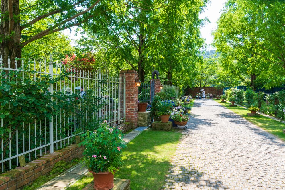 English Garden ローザンベリー多和田の画像 - 3枚目