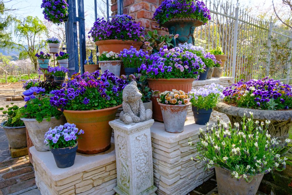 English Garden ローザンベリー多和田の画像 - 4枚目