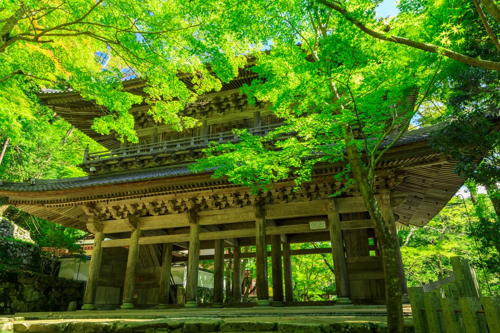 永源寺の画像 - 2枚目
