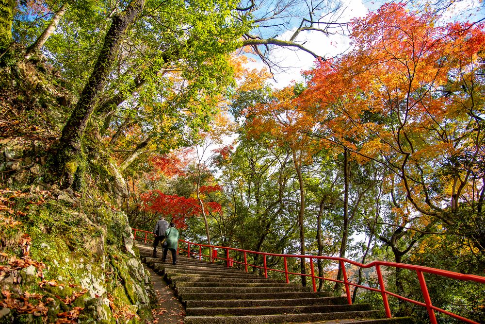 永源寺の画像 - 3枚目