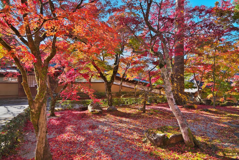 永源寺の画像 - 4枚目