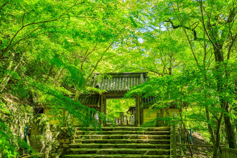 永源寺の画像 - 6枚目