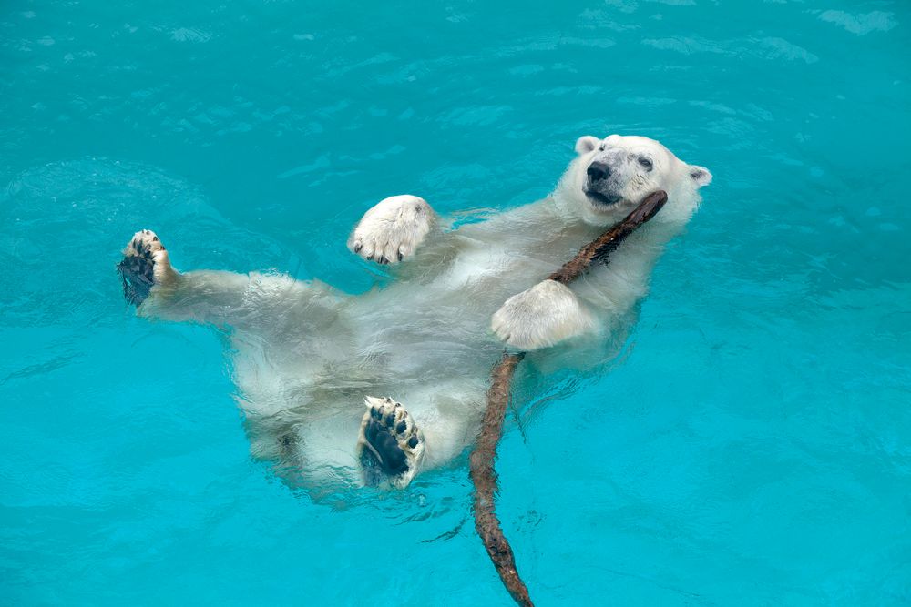 男鹿水族館GAOの画像 - 3枚目