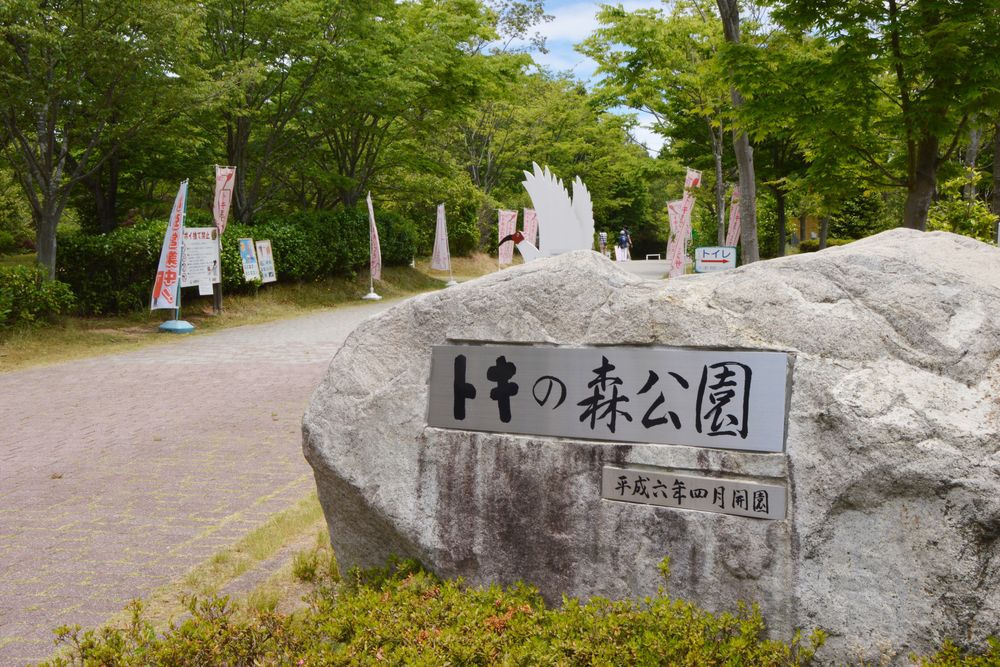 トキの森公園の画像 - 5枚目