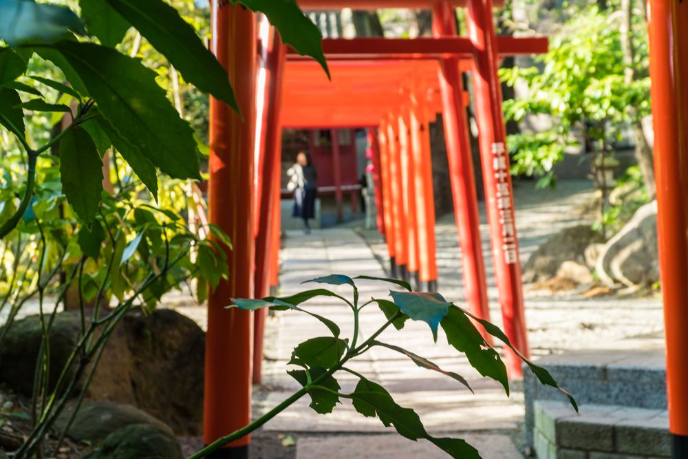 來宮神社の画像 - 4枚目