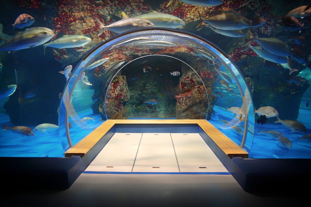 のとじま水族館の画像 - 2枚目