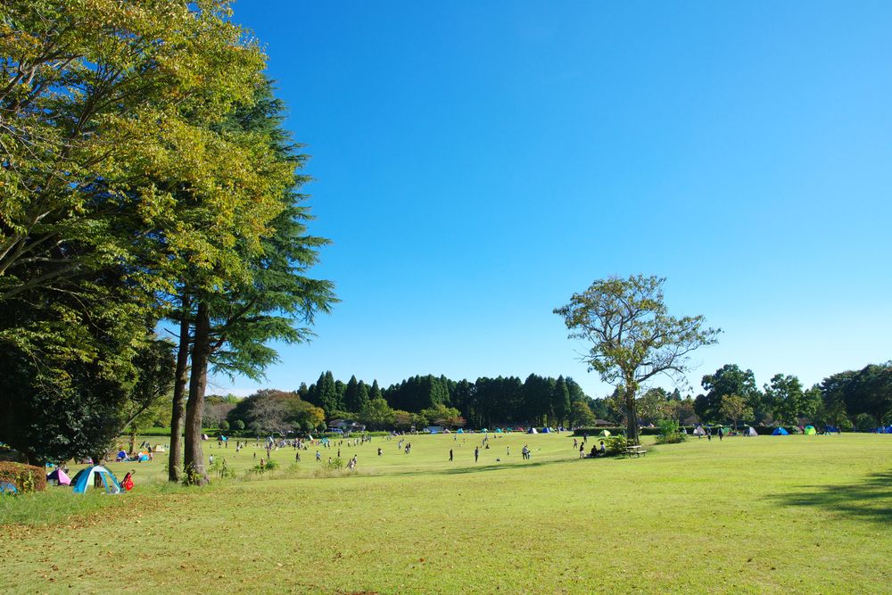 千葉市 昭和の森の画像 - 4枚目
