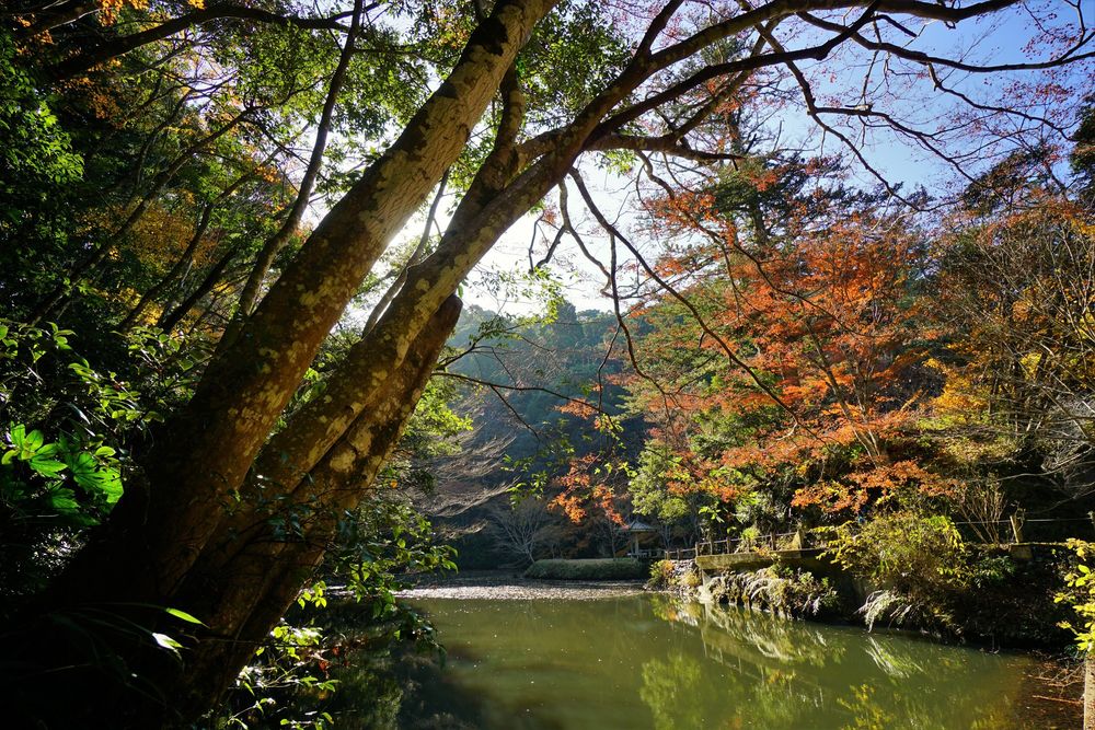 小松寺の画像 - 2枚目