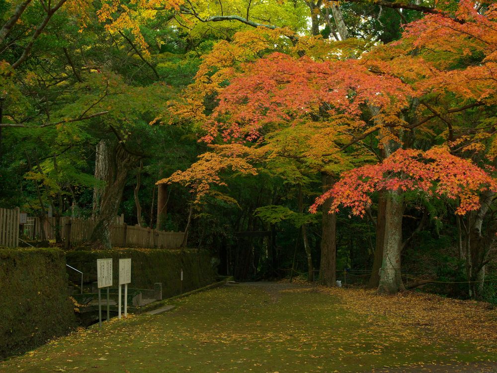 小松寺の画像 - 3枚目