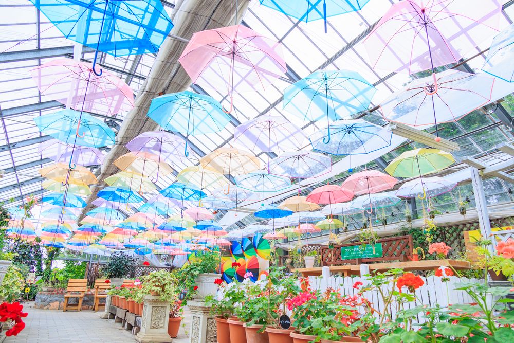 花曇 公営国民宿舎｜花火大会情報