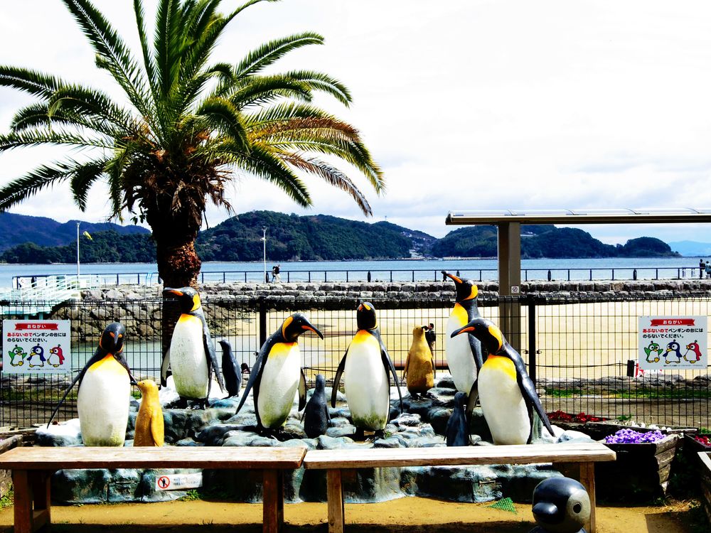 長崎ペンギン水族館の画像 - 4枚目