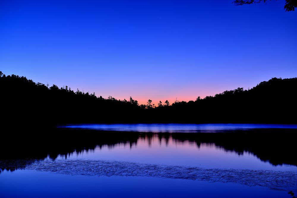 白駒池の画像 - 4枚目