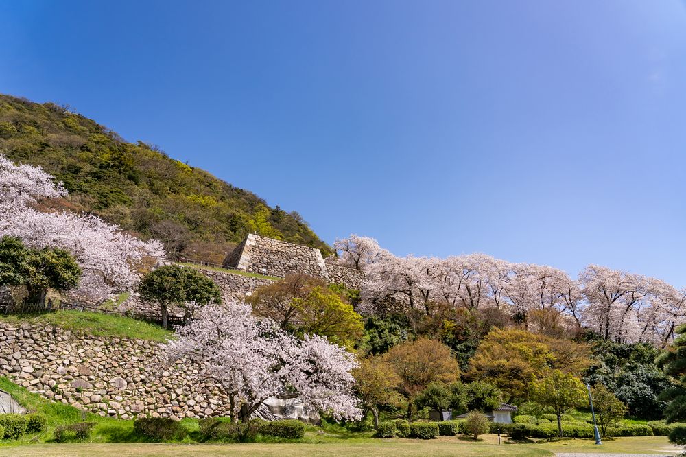 鳥取城跡 (久松公園)】の周辺スポット・アクセス・口コミ - Prism Japan