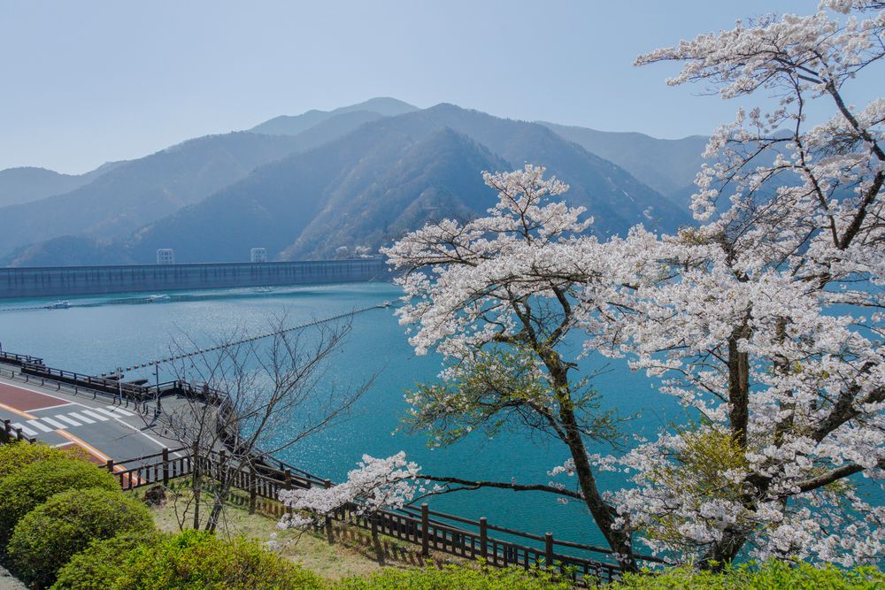 奥多摩湖の画像 - 2枚目