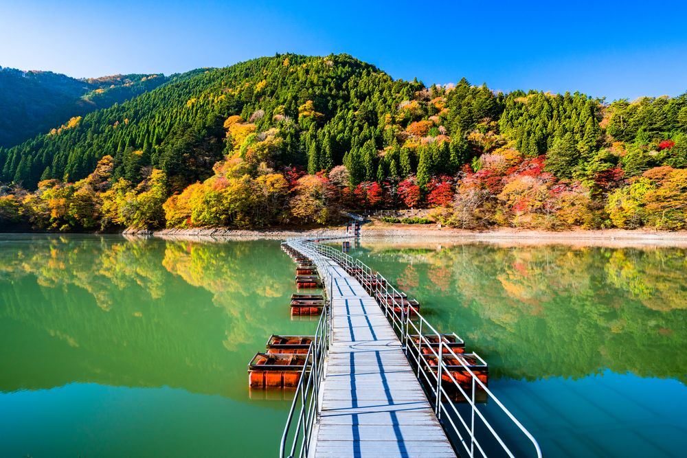 奥多摩湖の画像 - 4枚目