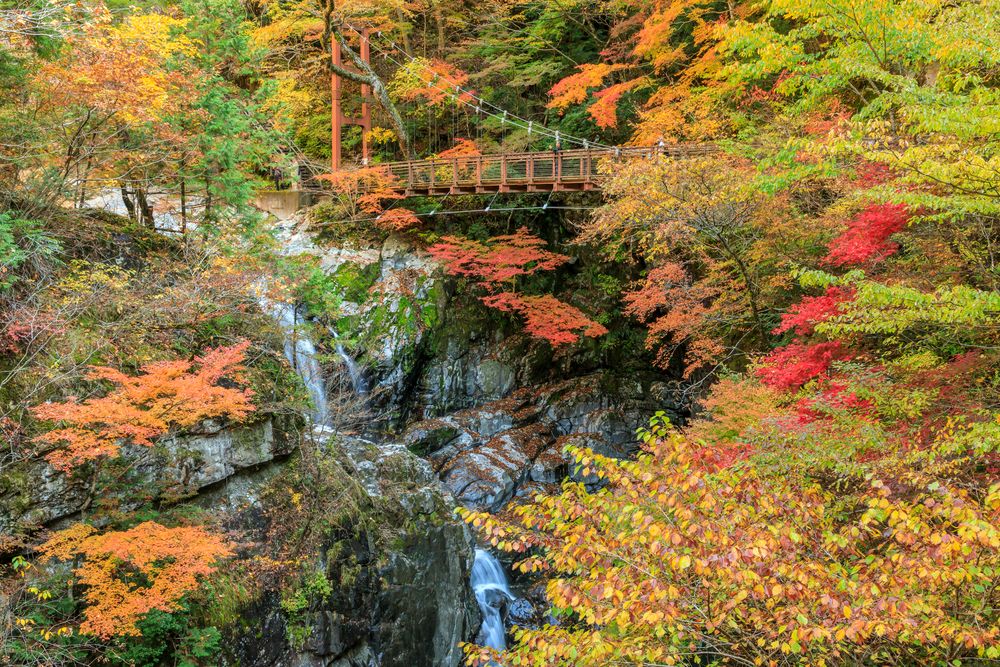みたらい渓谷の画像 - 3枚目