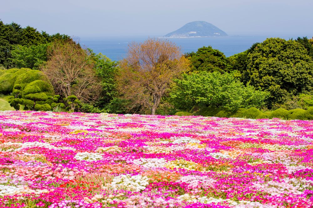のこのしまアイランドパークの画像 - 5枚目