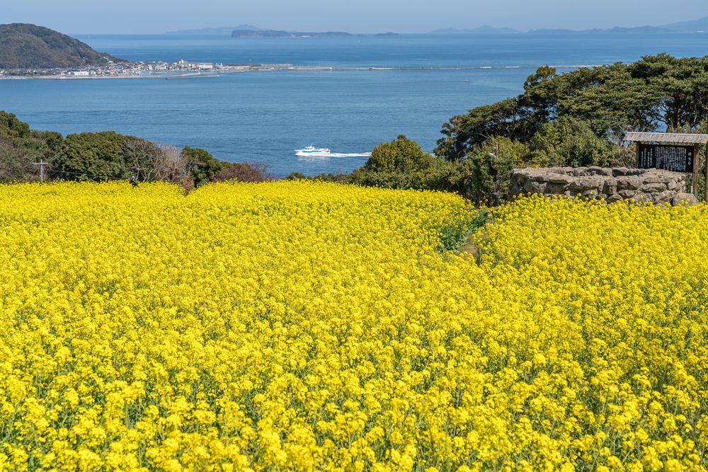 のこのしまアイランドパークの画像 - 7枚目