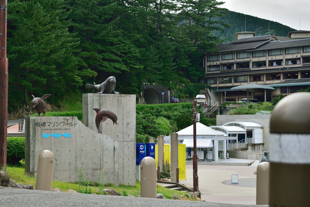 城崎マリンワールドの画像 - 5枚目