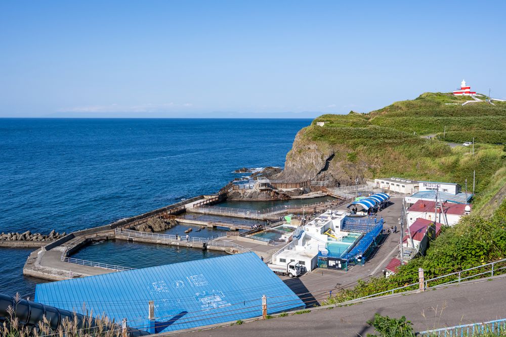 おたる水族館の画像 - 3枚目