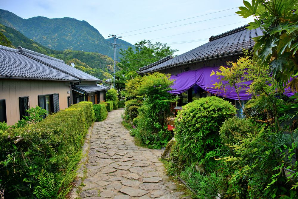 熊野古道 中辺路 大門坂の画像 - 2枚目
