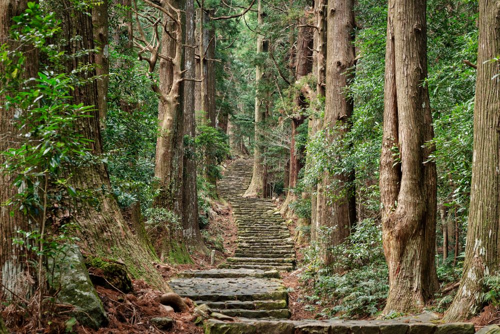 熊野古道 中辺路 大門坂の画像 - 4枚目