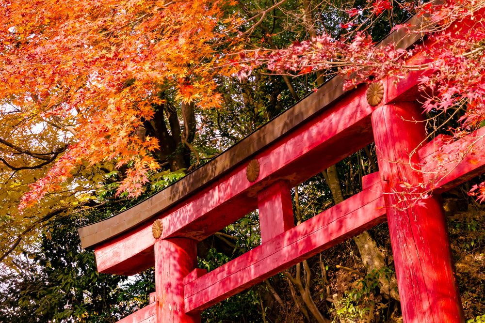鷲子山上神社の画像 - 2枚目