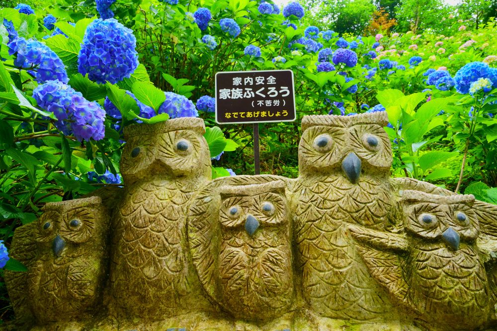 鷲子山上神社】のご利益・お守り・アクセス - Prism Japan