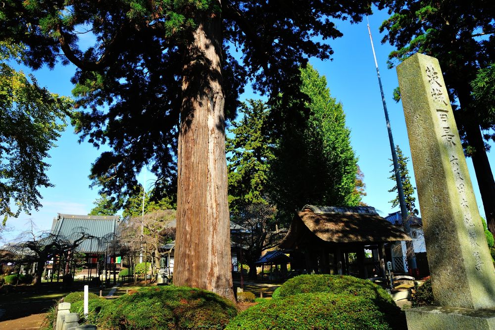 六地蔵寺（水戸大師）の画像 - 2枚目