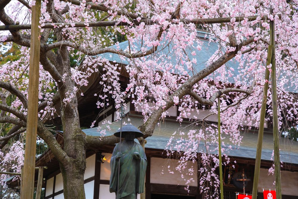 六地蔵寺（水戸大師）の画像 - 5枚目