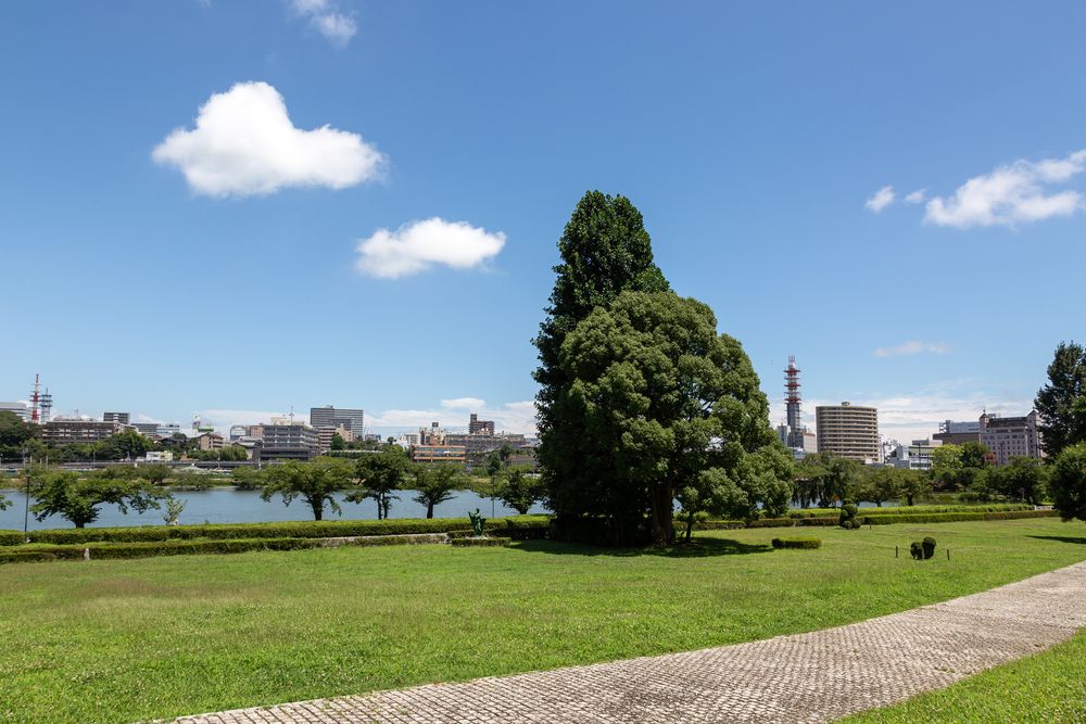 茨城県近代美術館の画像 - 3枚目
