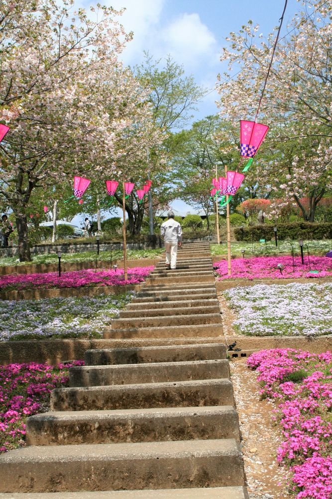 静峰ふるさと公園の画像 - 2枚目