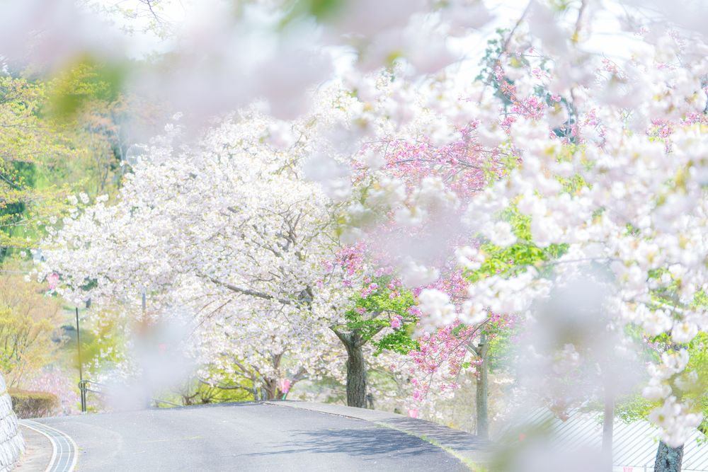 静峰ふるさと公園の画像 - 3枚目