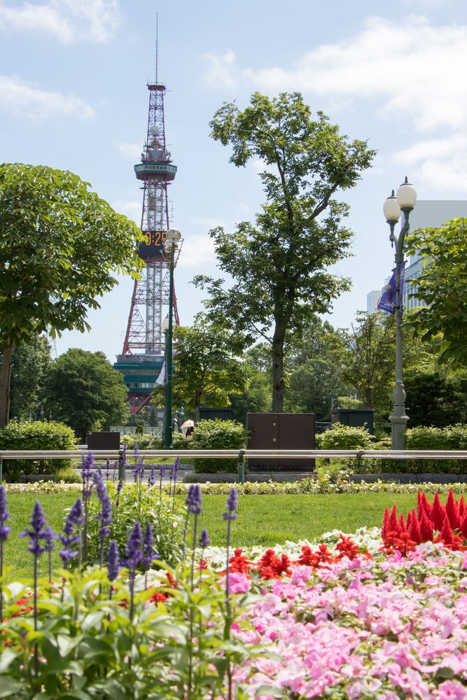 大通公園の画像 - 5枚目