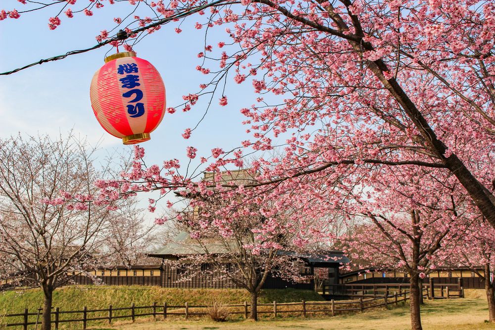 逆井城跡公園の画像 - 5枚目