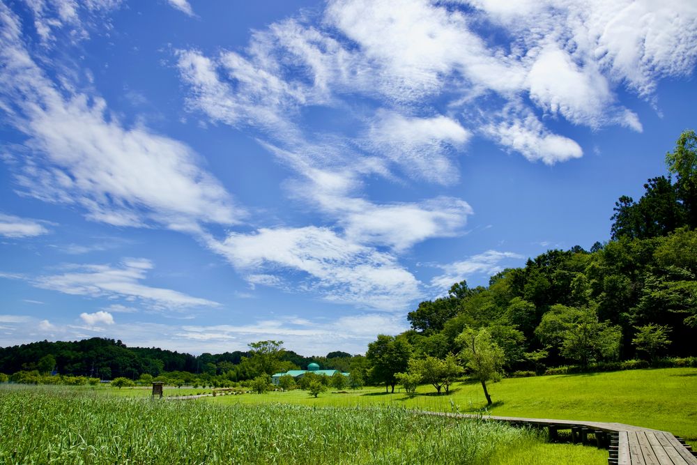 涸沼自然公園の画像 - 2枚目
