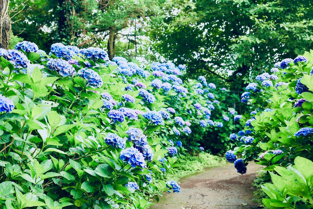 涸沼自然公園の画像 - 5枚目