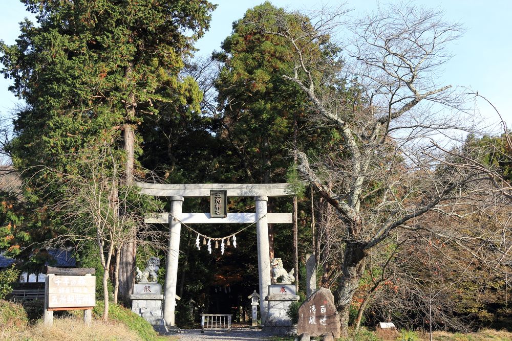 五所駒瀧神社の画像 - 2枚目