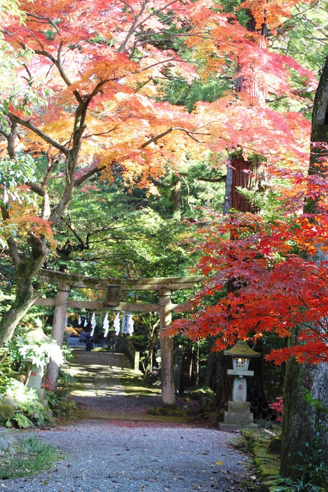 五所駒瀧神社の画像 - 3枚目