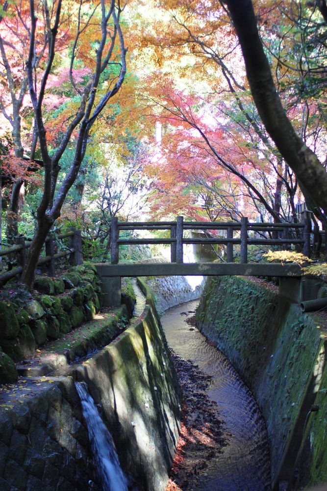 五所駒瀧神社の画像 - 4枚目